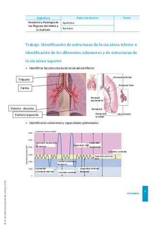 Anatomia-actividad-1-hecha.pdf