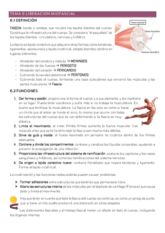 6-Liberacion-miofascial.pdf