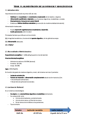 TEMA-11.-Alimentacion-de-la-Infancia-y-Adolescencia.pdf
