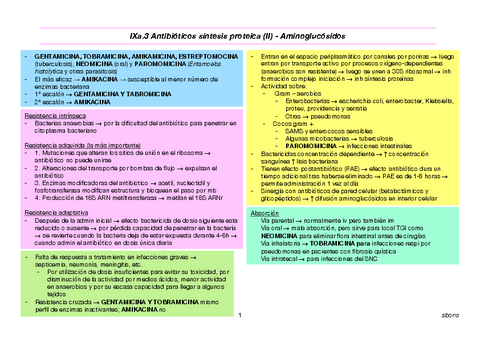 IXa.3-Aminoglucosidos.pdf