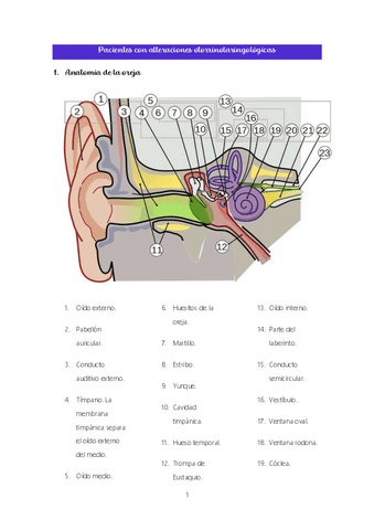 Tema-4.-Alteraciones-otorrinolaringologicas.pdf