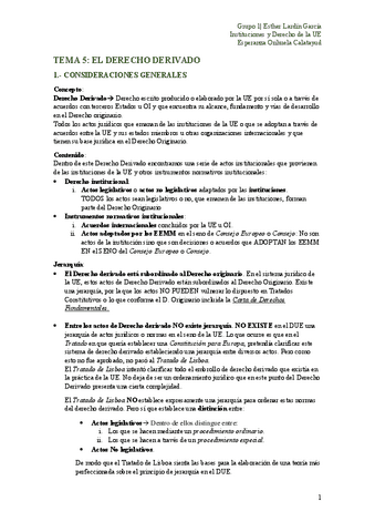 IDUE.-TEMA-5-TERMINADO.pdf