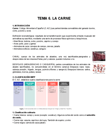 TEMA-6.-LA-CARNE.pdf