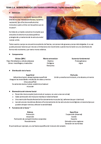 TEMA-2.4.-Biomecanica-de-los-tejidos-corporales.-Tejido-conectivo-fascia.pdf