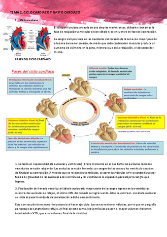 TEMA-2-Ciclo-cardiaco-y-Gasto-cardiaco.pdf