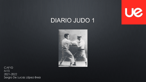 Diario-judo.pdf