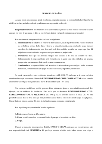DERECHO-DE-DANOS-APUNTES-COMPLETOS.pdf