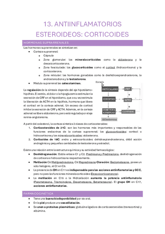 13.-Corticoides.pdf