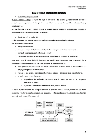 Tema-5-Teorias-de-la-percepcion-visual..pdf
