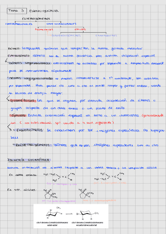 Tema-3230925192821.pdf