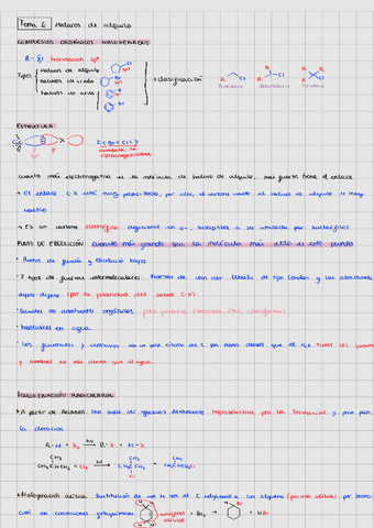 Tema-6231015163020.pdf