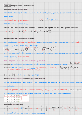 Tema-13231127000528.pdf