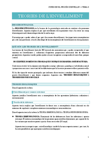 3.-TEORIES-DE-LENVELLIMENT.pdf