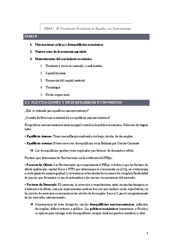 TEMA-2.pdf