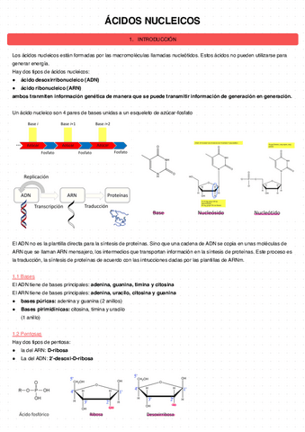 Acidos-nucleicos-6.pdf