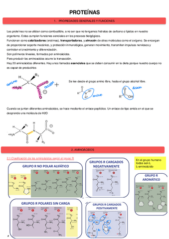 Proteinas-5.pdf