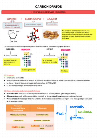 Carbohidratos-3.pdf