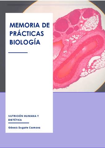 Memoria-de-practicas.pdf