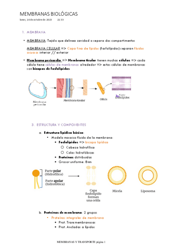 T.2-MEMBRANAS-BIOLOGICAS.pdf