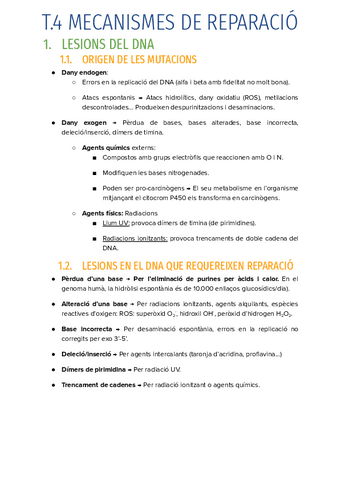 T.4-MECANISMES-DE-REPARACIO-EN-PROCES.pdf