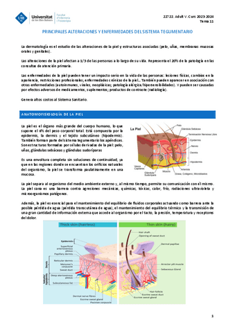 ADULT-V-TEMA-11.pdf