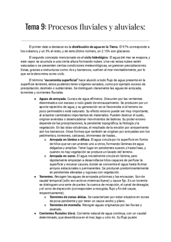 Tema-9-Procesos-fluviales-y-aluviales-Documentos-de-Google.pdf