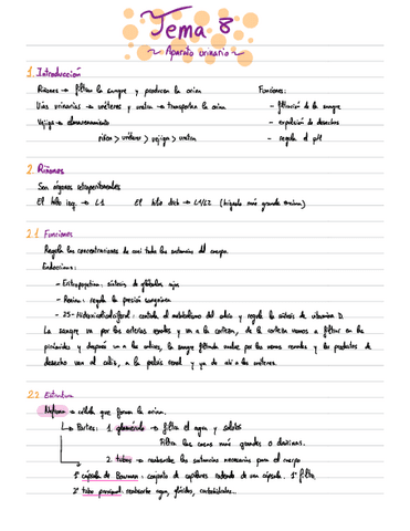 Apuntes-Anatomia-T8.pdf