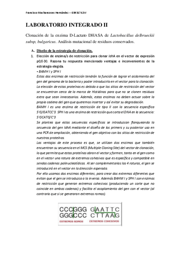 Miniatura del documento EJERCICIO-LABORATORIO-INTEGRADO-II.pdf