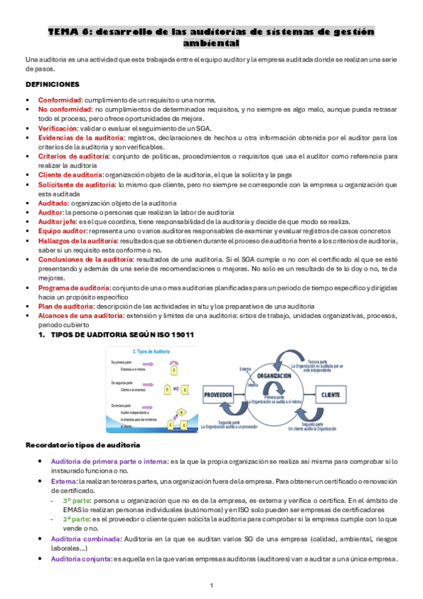 Miniatura del documento TEMA-6-desarrollo-de-las-auditorias-de-sistemas-de-gestion-ambiental.pdf