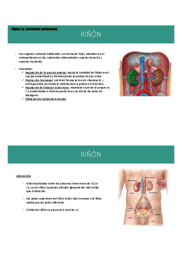 Miniatura del documento T5.pdf