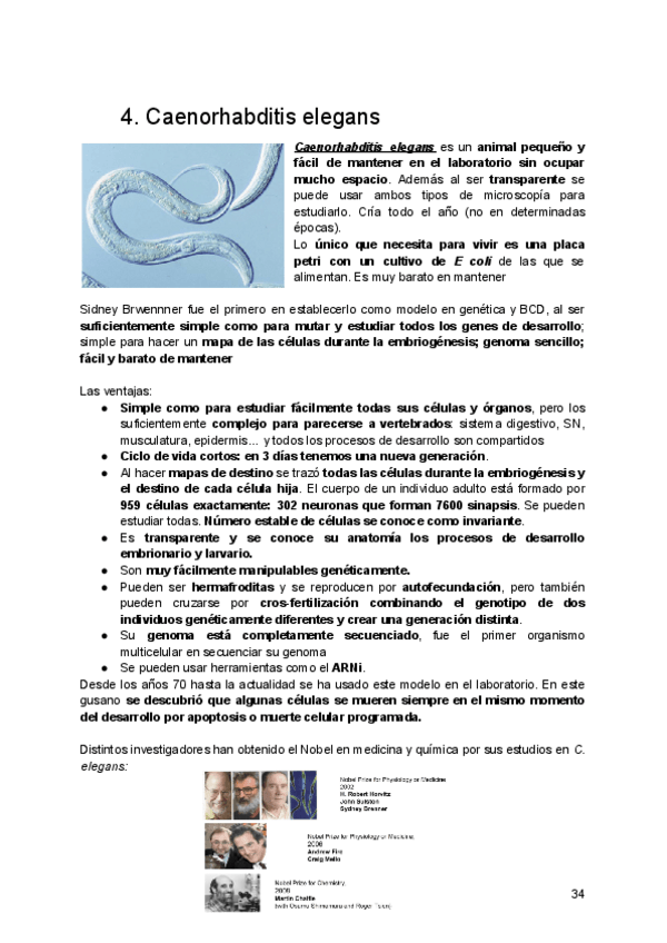 Miniatura del documento Tema-2-parte-2.pdf