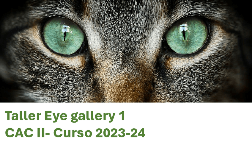 Miniatura del documento Taller-Eye-gallery-casos-clinicos-resueltos.pdf