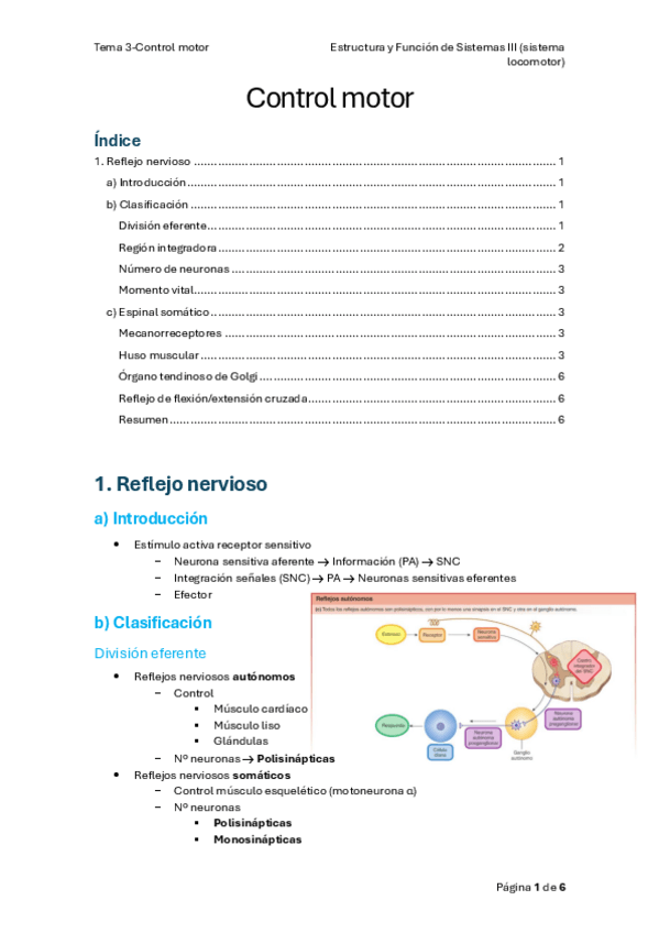 Miniatura del documento Tema-3-Control-motor.pdf