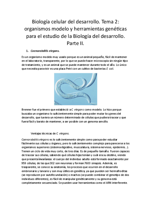 Miniatura del documento Biologia-celular-del-desarrollo.-Tema-2.-Parte-II.pdf