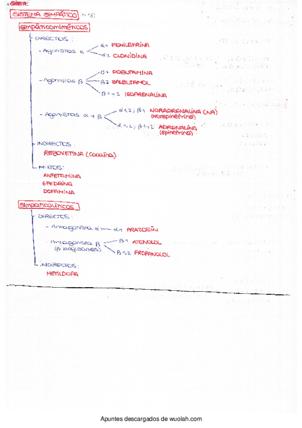 Miniatura del documento Esquema básico fármacos.pdf