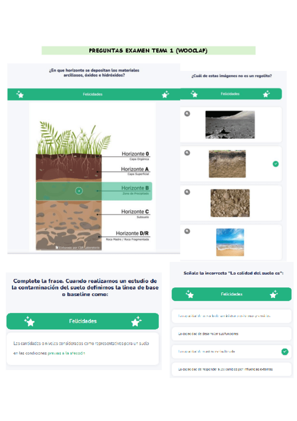 Miniatura del documento PREGUNTAS-EXAMEN-TRATAMIENTO-DE-SUELOS-CONTAMINADOS-TEMA-1-WOOCLAP.pdf