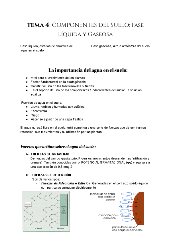 Miniatura del documento Tema-4-COMPONENTES-DEL-SUELO-Fase-Liquida-y-Gaseo.pdf