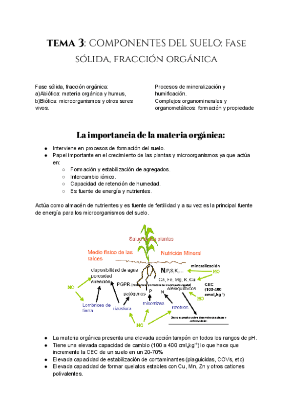 Miniatura del documento Tema-3-COMPONENTES-DEL-SUELO-Fase-solida-fraccion-organica.pdf
