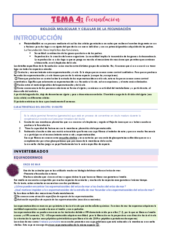 Miniatura del documento TEMA-4-FECUNDACION-BIOLOGIA-DEL-DESARROLLO.pdf