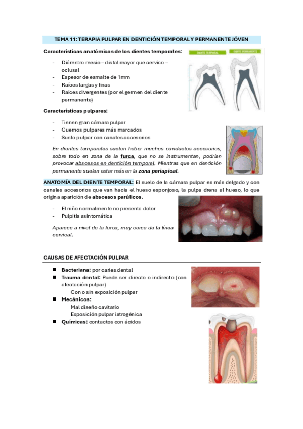 Miniatura del documento TEMA-11-TERAPIA-PULPAR.pdf