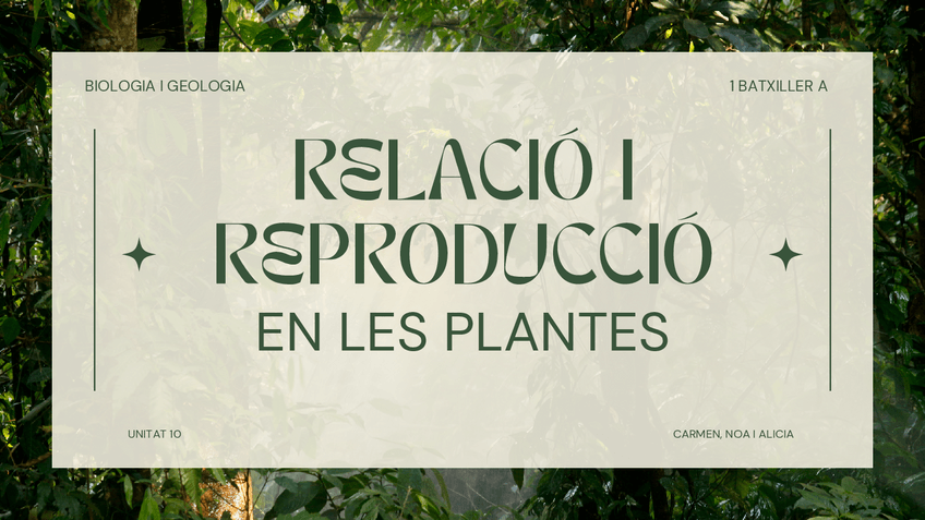 Miniatura del documento RELACIO-DE-LES-PLANTES.pdf