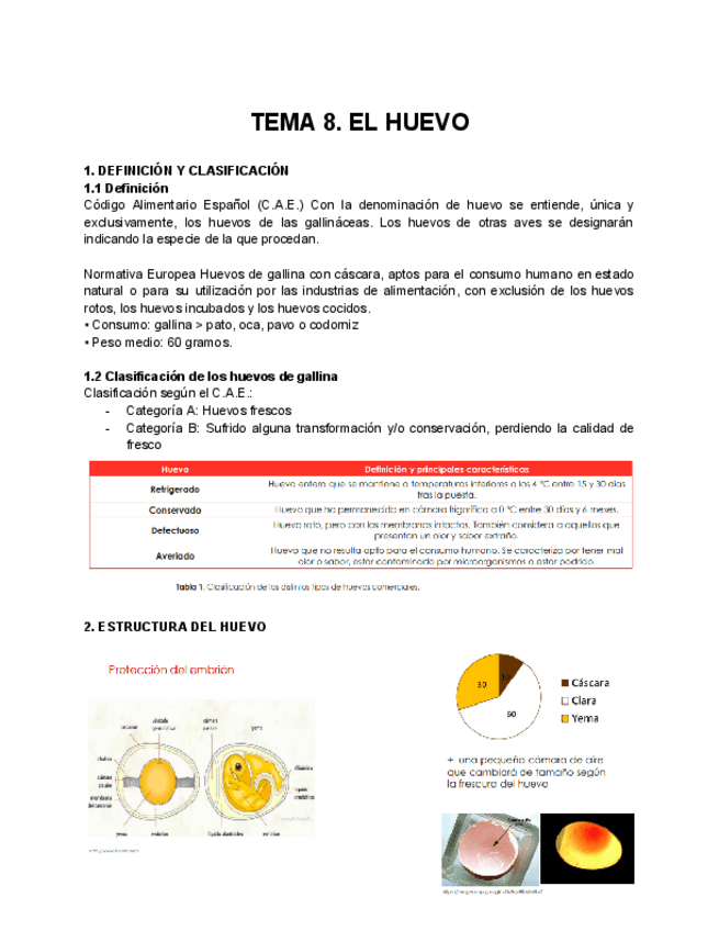 Miniatura del documento TEMA-8.-EL-HUEVO.pdf