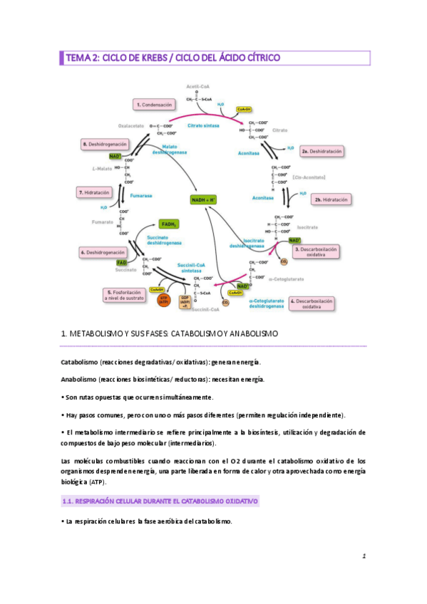 Miniatura del documento TEMA-2.pdf
