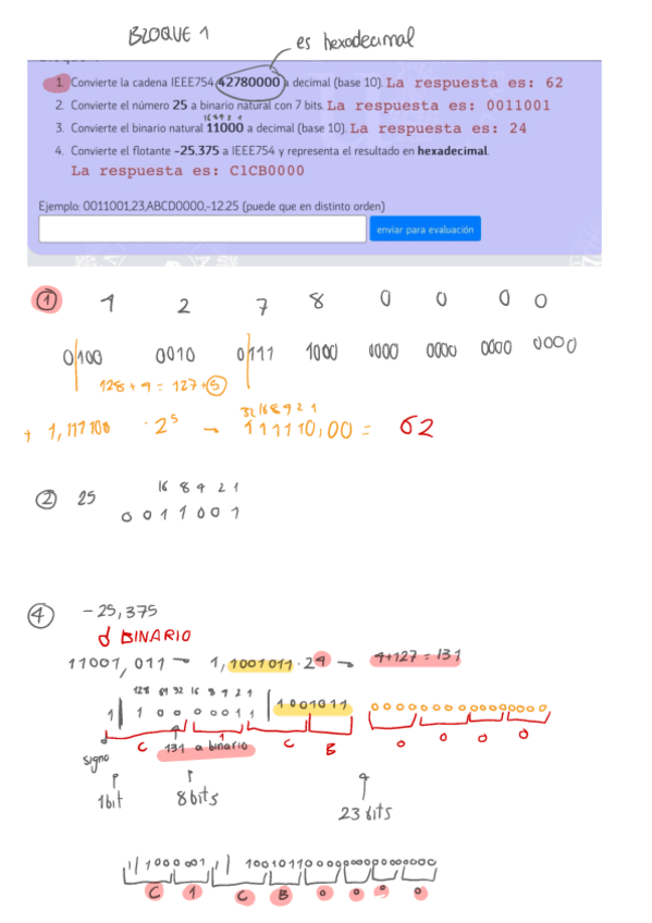 Miniatura del documento Casium-para-sacar-10 tma2.pdf