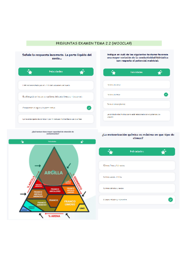 Miniatura del documento PREGUNTAS-EXAMEN-TRATAMIENTO-DE-SUELOS-CONTAMINADOS-TEMA-2.2.pdf