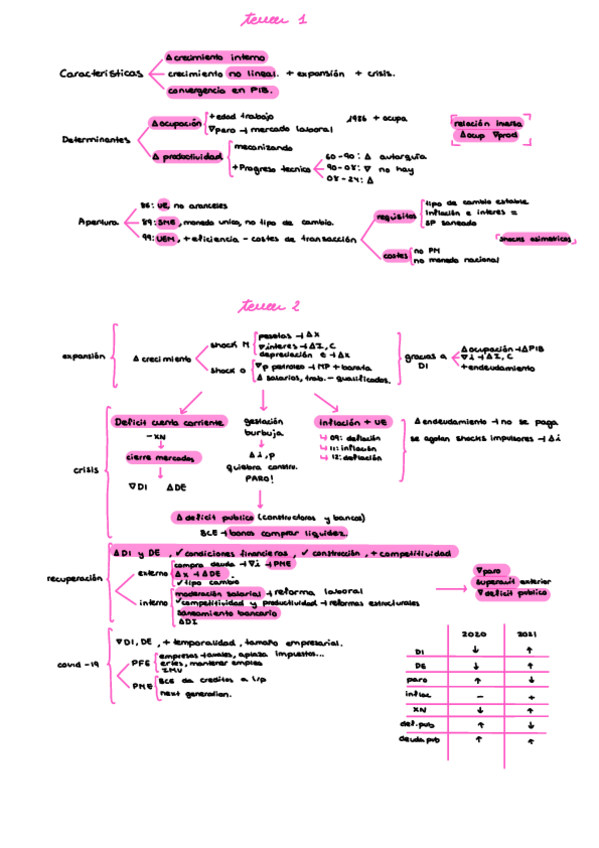 Miniatura del documento resumen-final.pdf