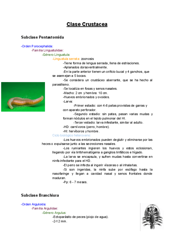 Miniatura del documento Resumen-Crustaceos.pdf