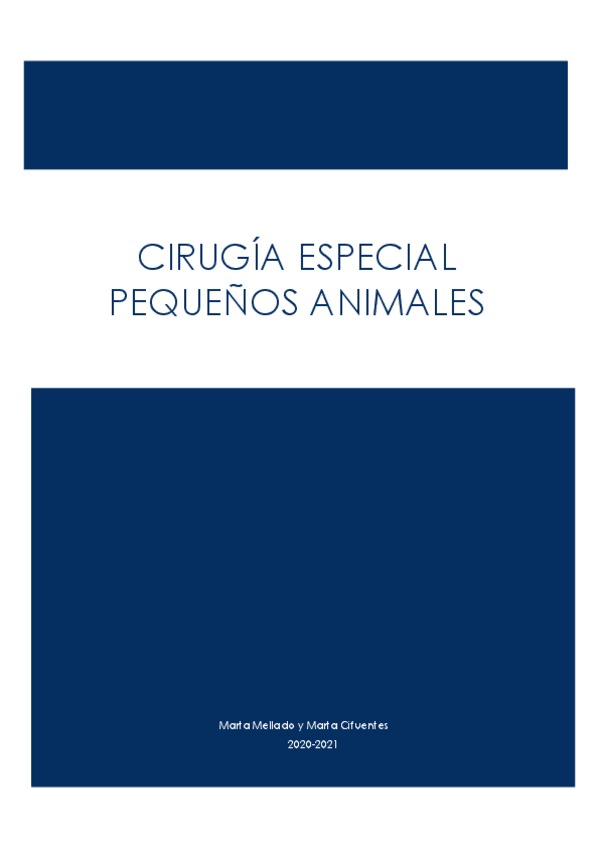 Miniatura del documento CIRU-ESPECIAL-TODO.pdf