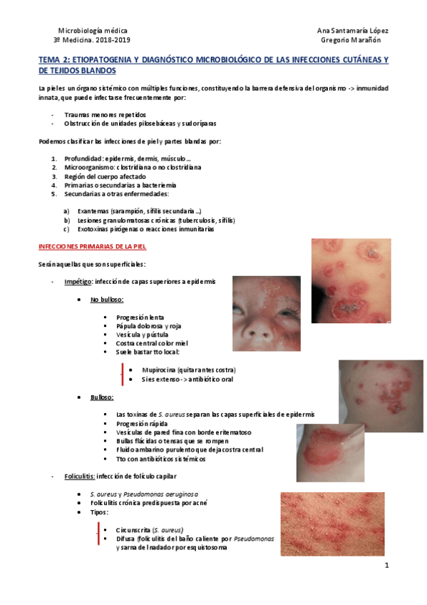 Miniatura del documento Tema 2 - Piel y tej blandos.pdf