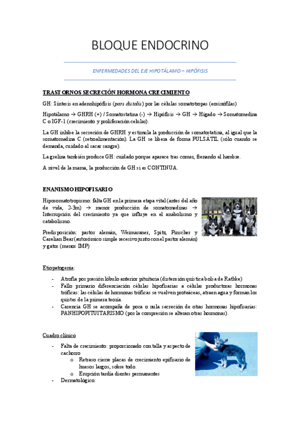 Miniatura del documento TODO-ENDOCRINO.pdf